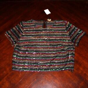 ✨ NWT Ont Wealth Sheer Glitter Stripe Top - Size L ✨